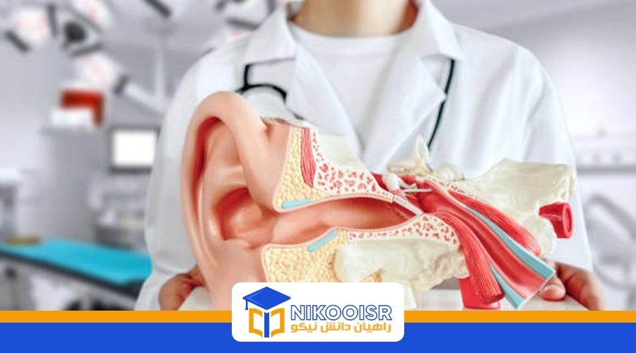 معرفی رشته شنوایی سنجی در ترکیه