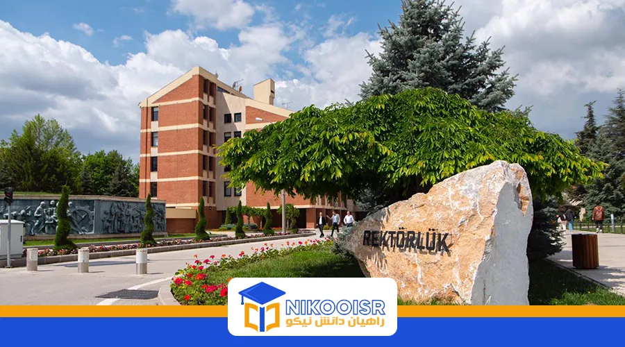 دانشگاه آنادولو