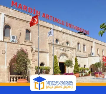 دانشگاه ماردین
