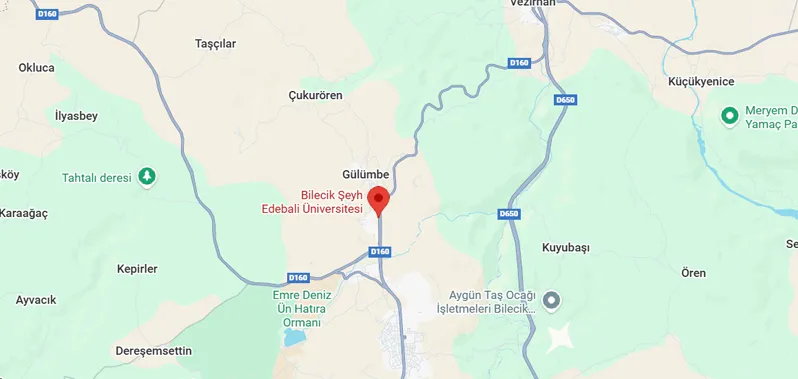 دانشگاه بیلیجیک