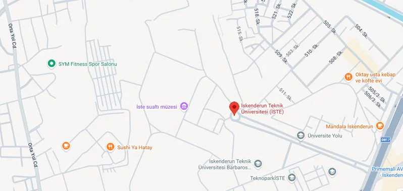 Iskenderun Technical University