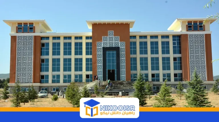 دانشگاه بینگول