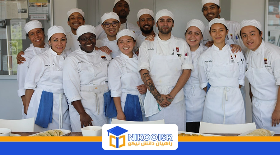 رشته آشپزی در ترکیه