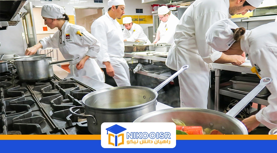 رشته آشپزی در ترکیه