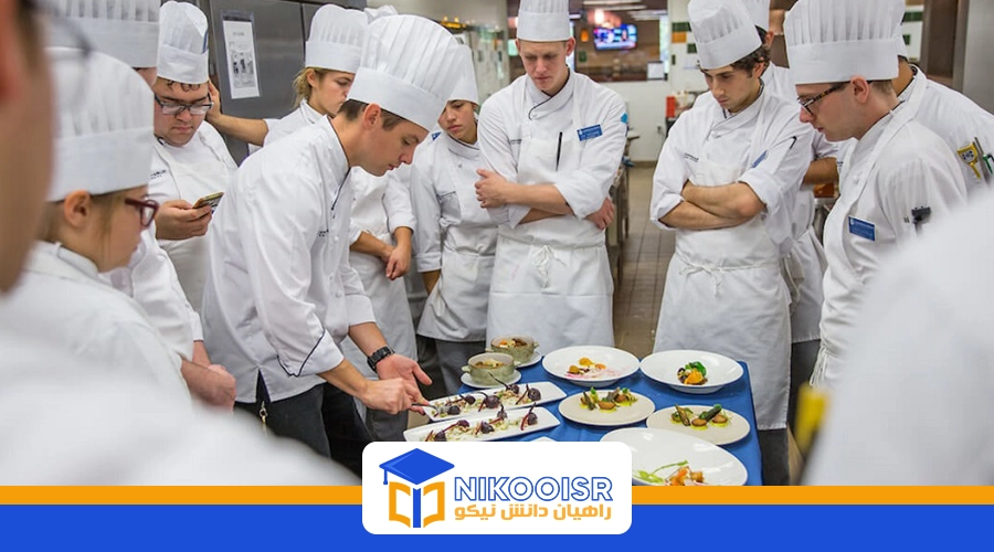 رشته آشپزی در ترکیه