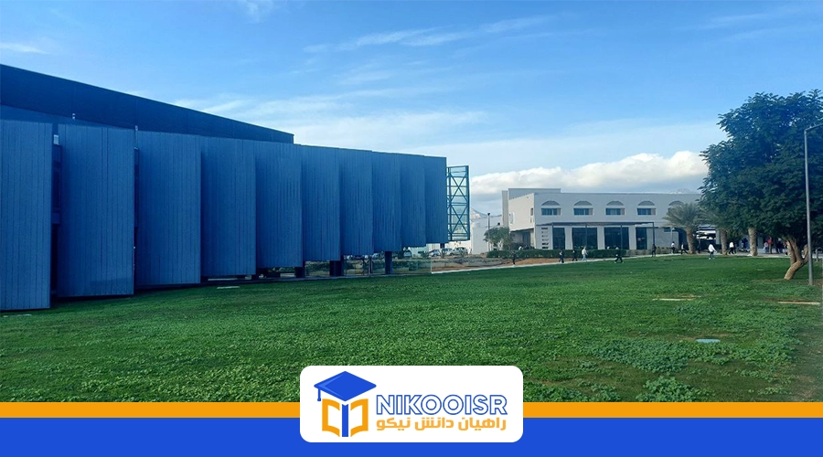 دانشگاه بین المللی قبرس