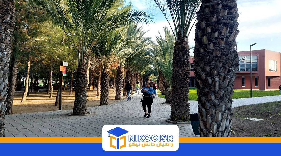 دانشگاه بین المللی قبرس شمالی