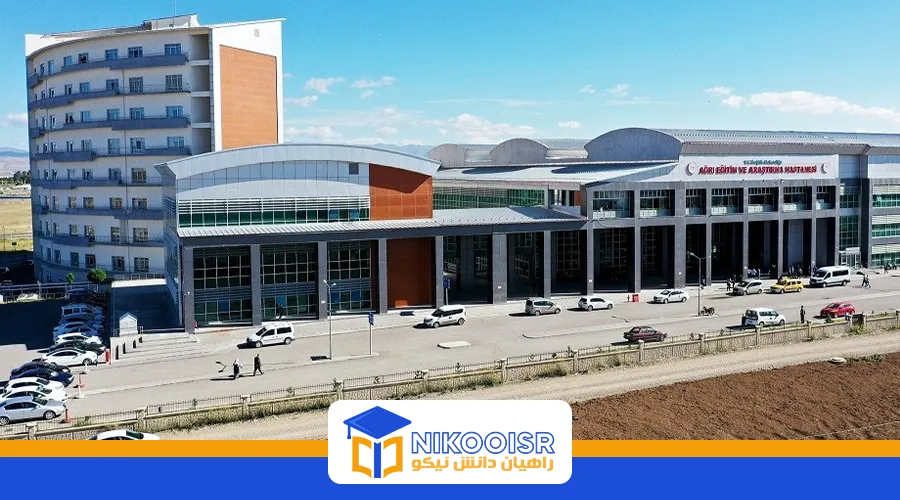 دانشگاه ابراهیم چچن