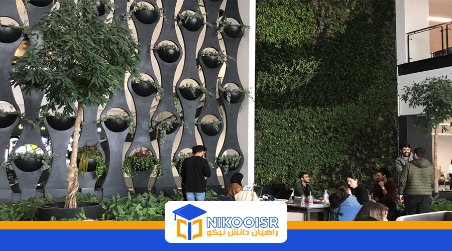 خدمات غذایی دانشگاه مدیپل