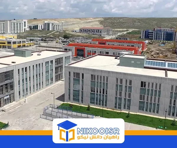 دانشگاه کاراتکین