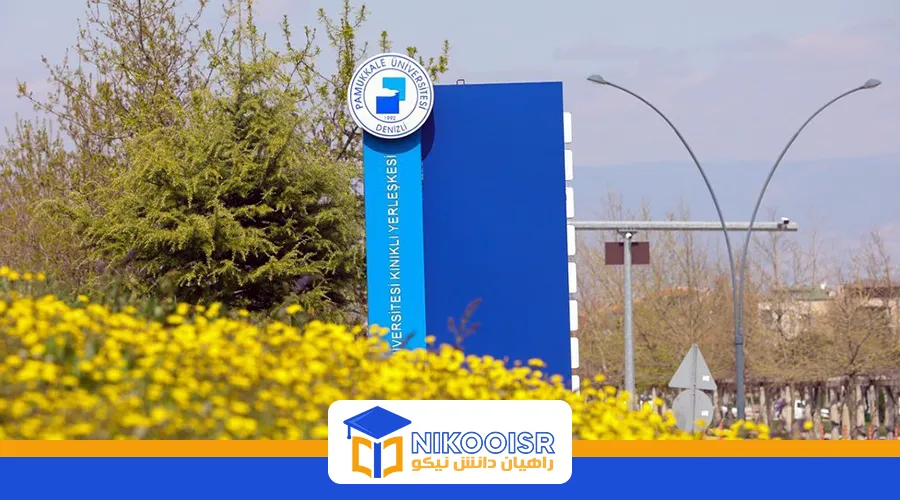 دانشگاه پاموک کاله