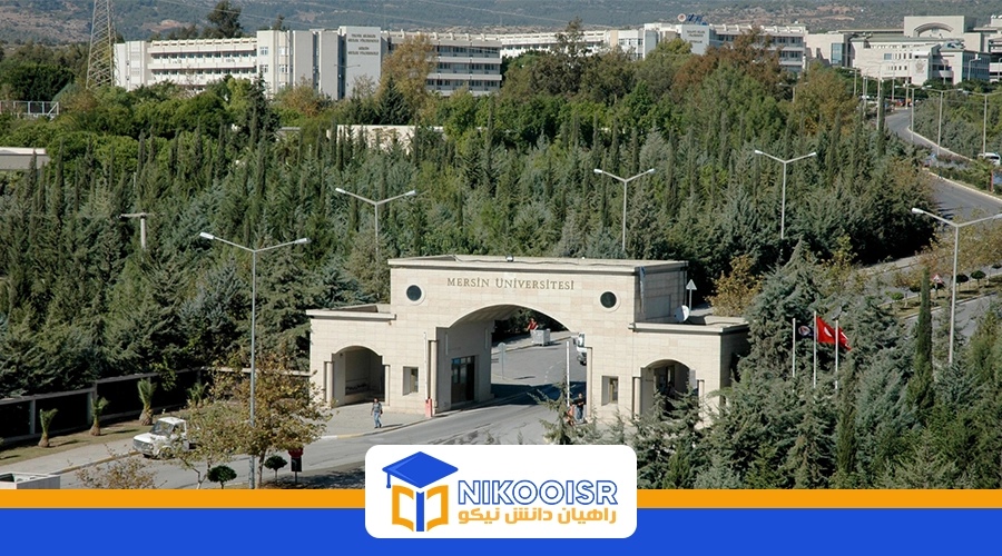 رشته مراقبت از مو در دانشگاه ترکیه