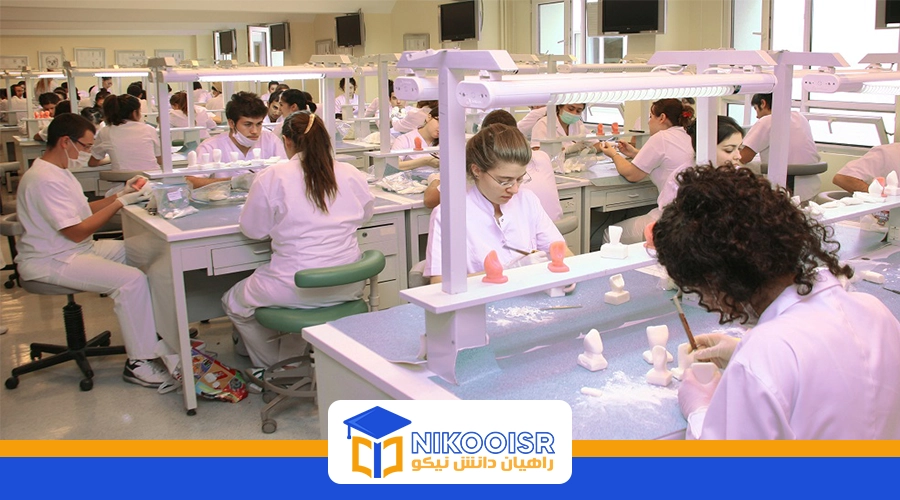 رشتههای تحصیلی در دانشگاه یدی تپه