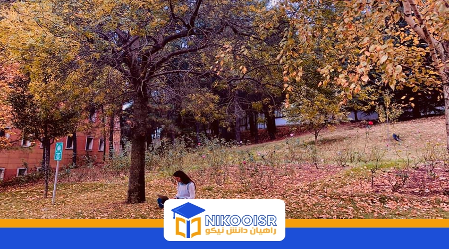 امکانات دانشگاه یدی تپه