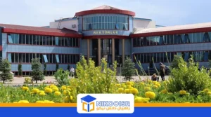 دانشگاه یوزونجوییل