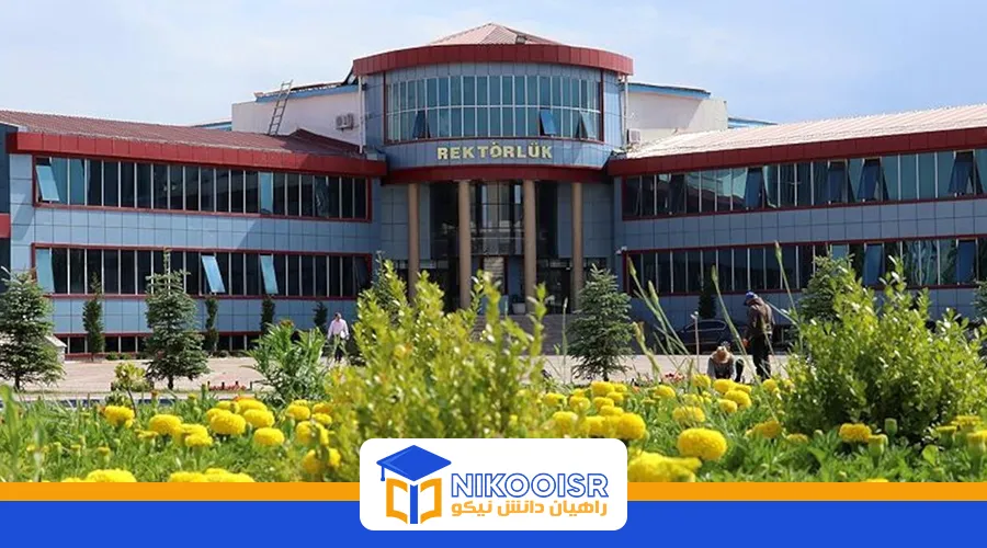 دانشگاه یوزونجوییل