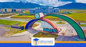 دانشگاه ایغیدیر