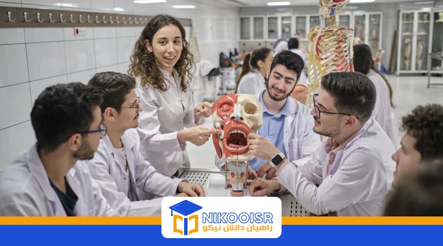 رشته های دانشگاه ایستینیه