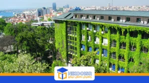 دانشگاه ییلدیز تکنیک