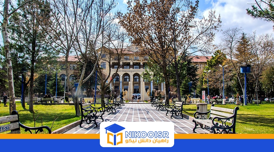 دانشگاه قاضی