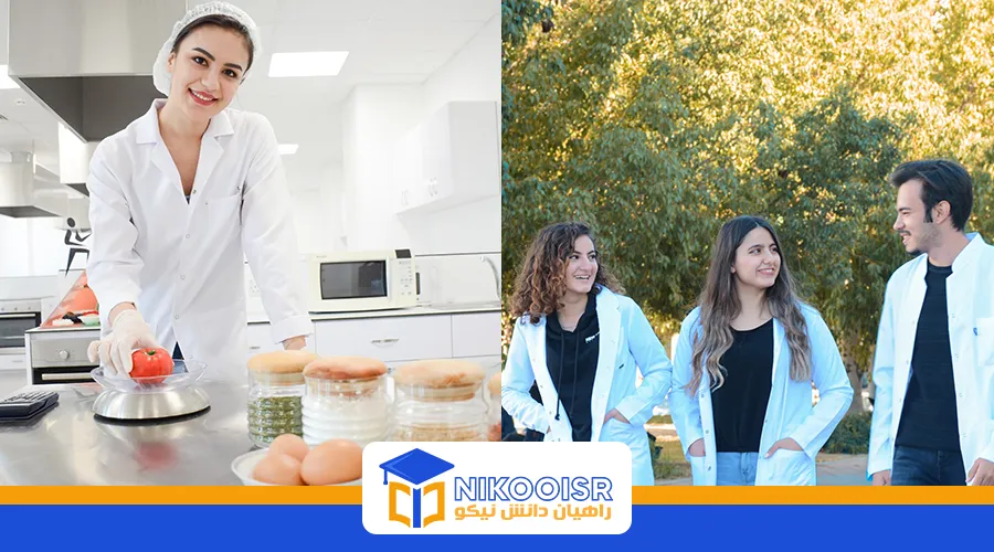 دانشگاه NEU قبرس