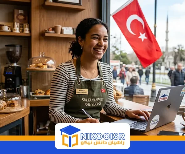 Working student in turkiye